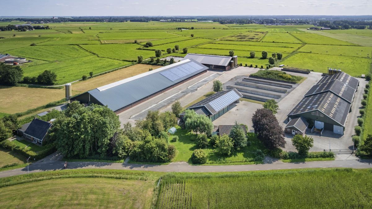 Boerderij met 79 hectare grond in Doornspijk