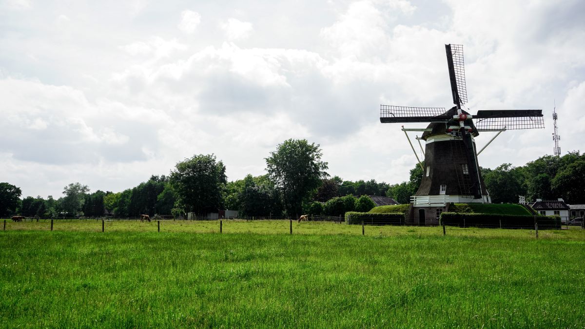 Inwoners Veluwe maken samen gebiedsplan
