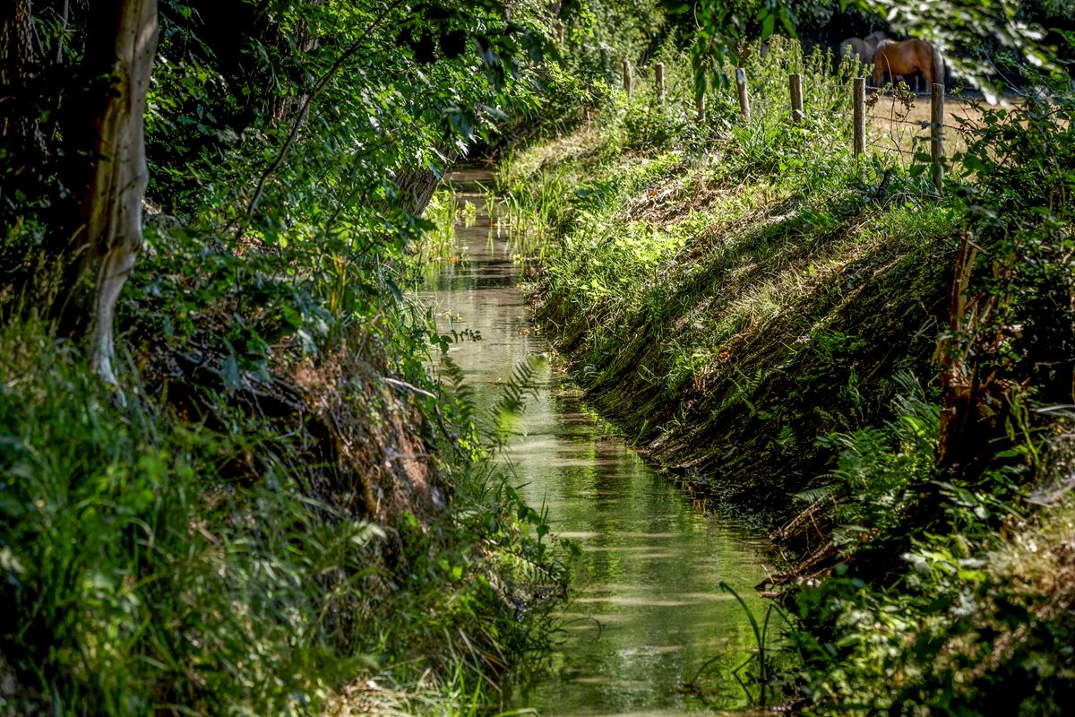 Gebiedsverkenning watersysteem Loenen en Eerbeek afgerond
